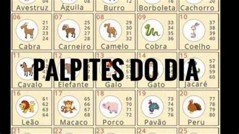 palpite jogo do bicho atrasado - palpites para jogar no bicho